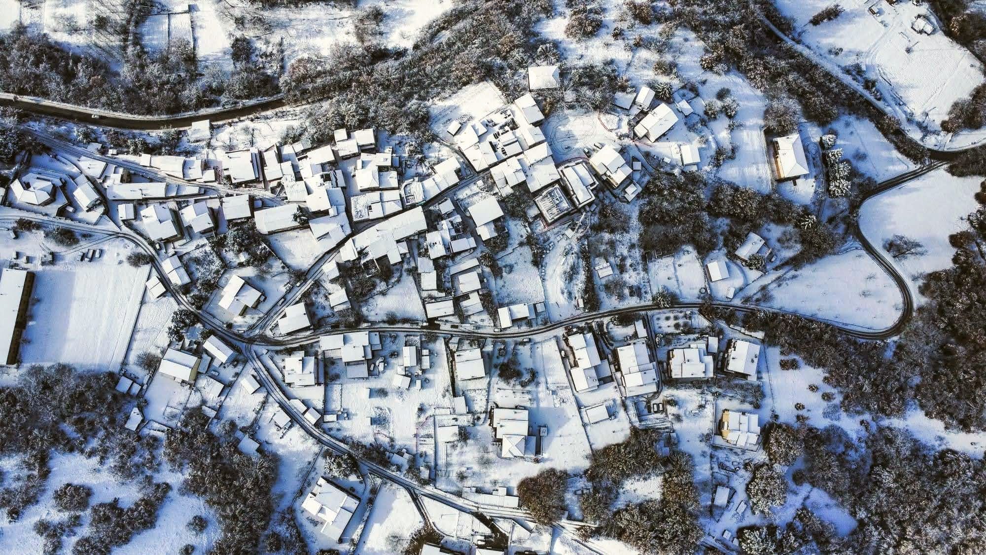 Collefracido